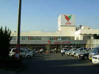 ○○○○○○○○イメージ